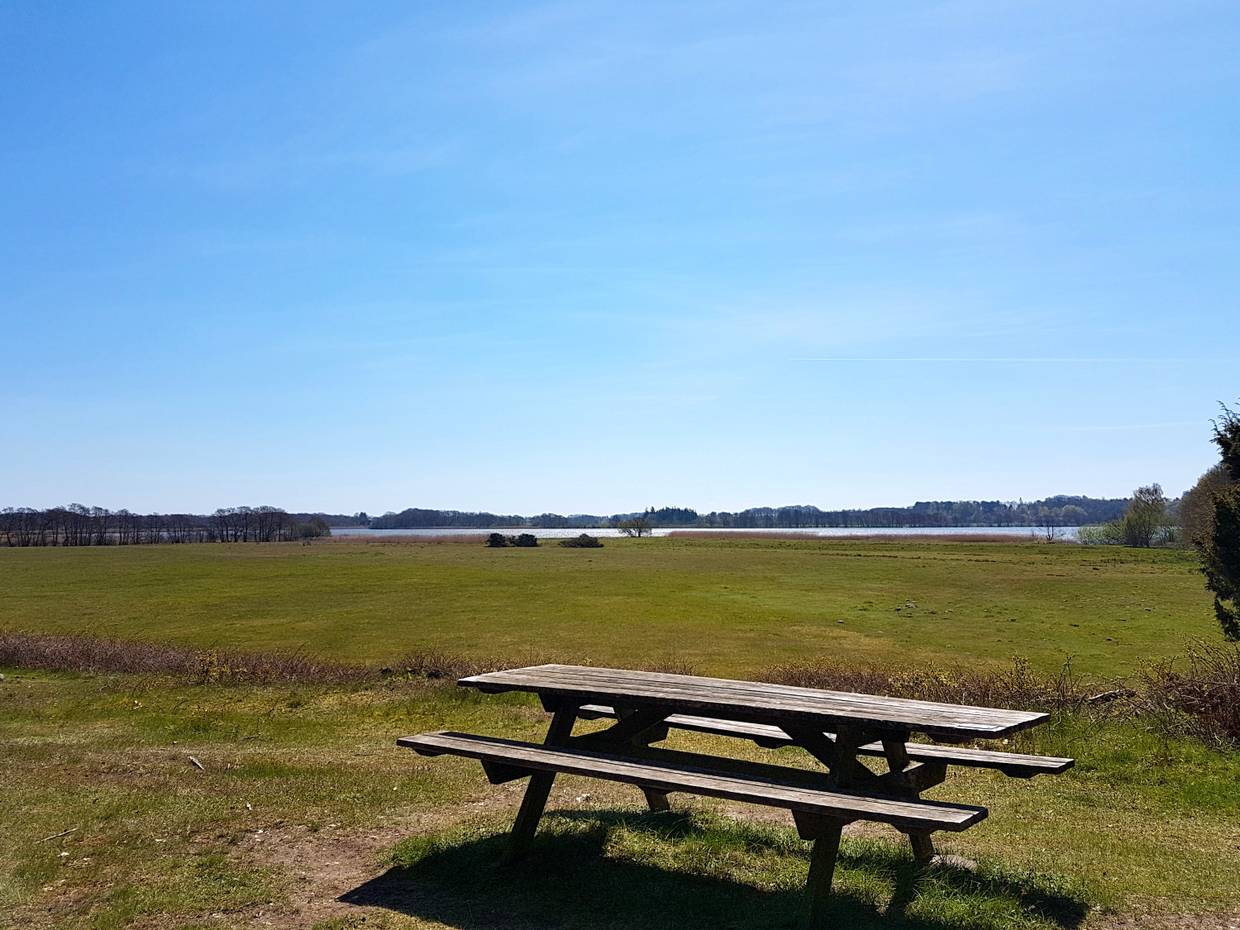 Einsame Picknickbank auf eine großen Wiese am Stubbe See