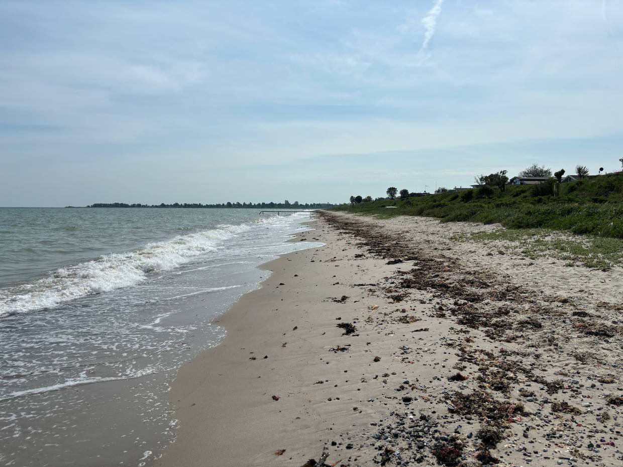 Sandstrand mit etwas Seegras vor eine Wiese
