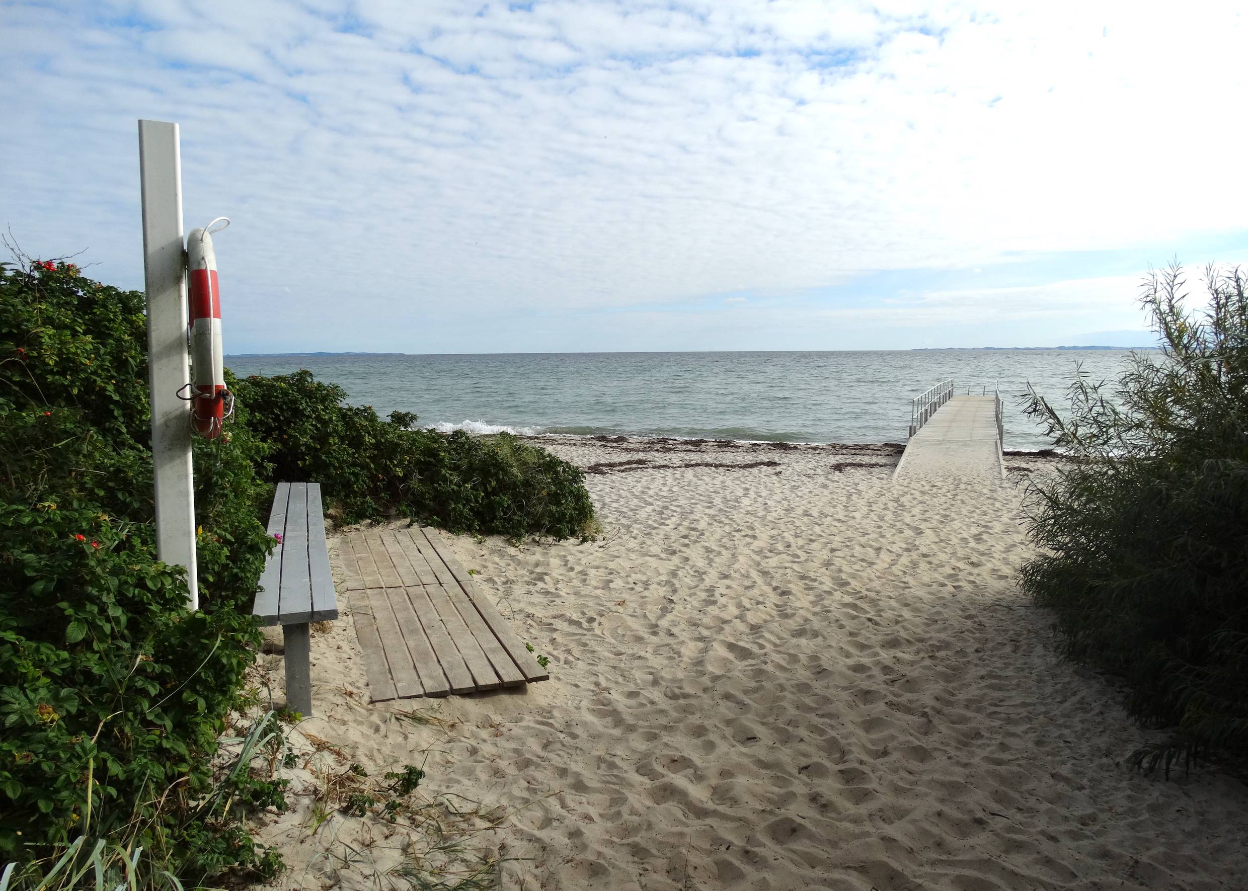 Strandzugang zwischen Heckenrosen und Picknickbank