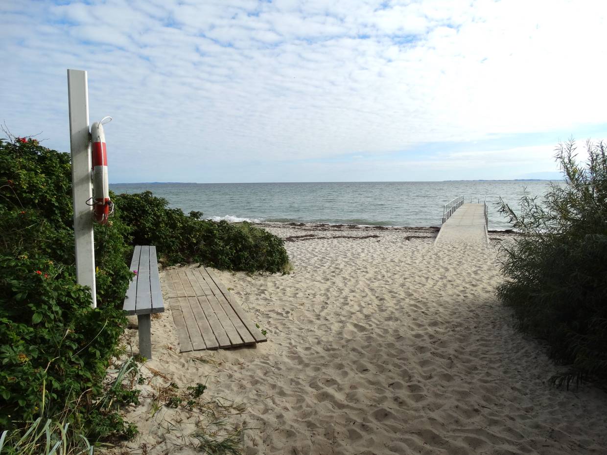 Strandzugang zwischen Heckenrosen und Picknickbank
