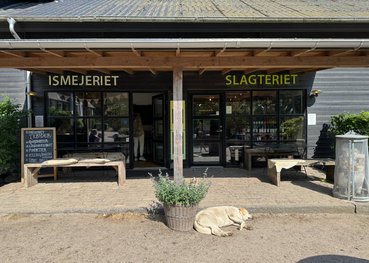 Blick auf zwei Eingänge zu einem Eisladen und einem Metzger