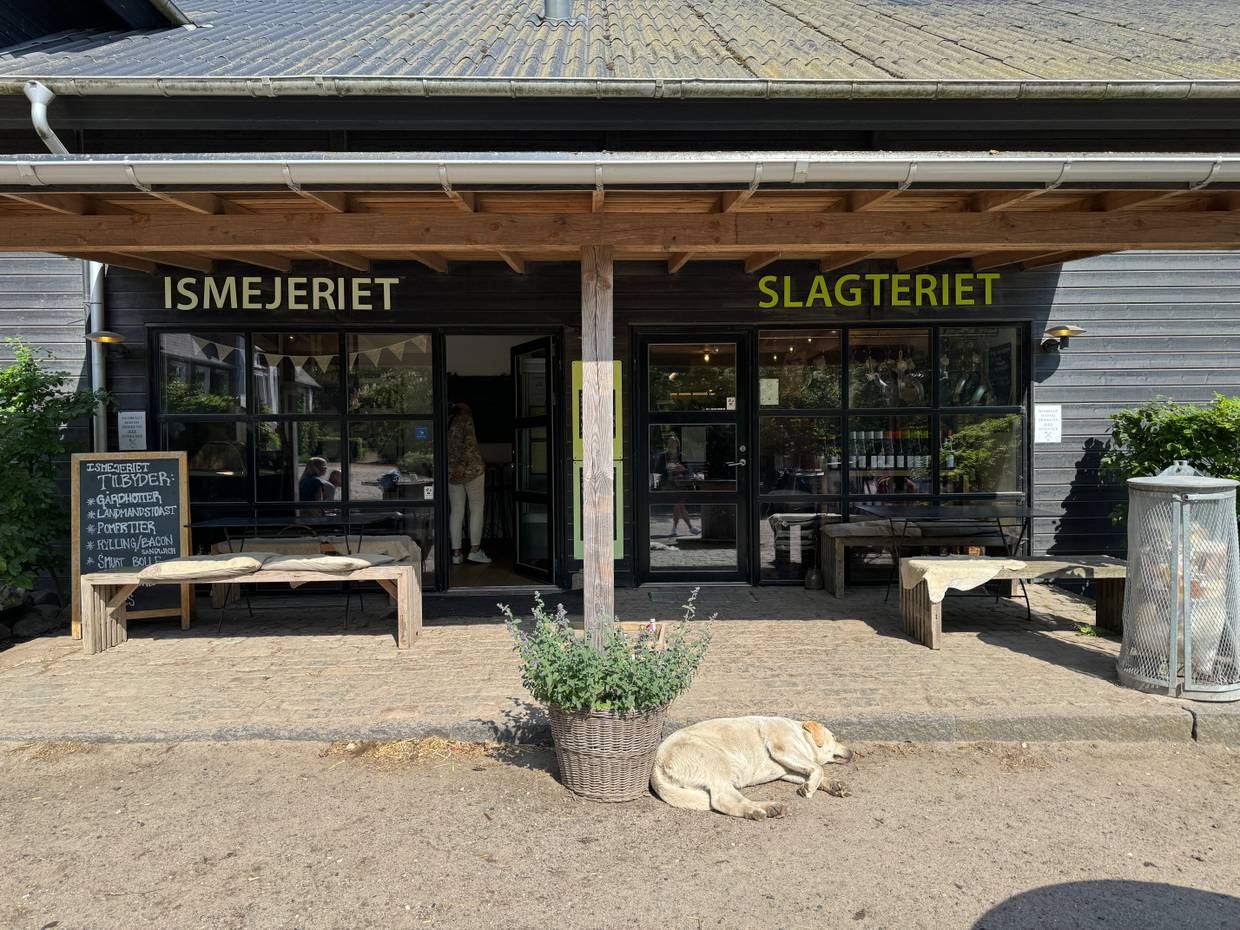 Blick auf zwei Eingänge zu einem Eisladen und einem Metzger