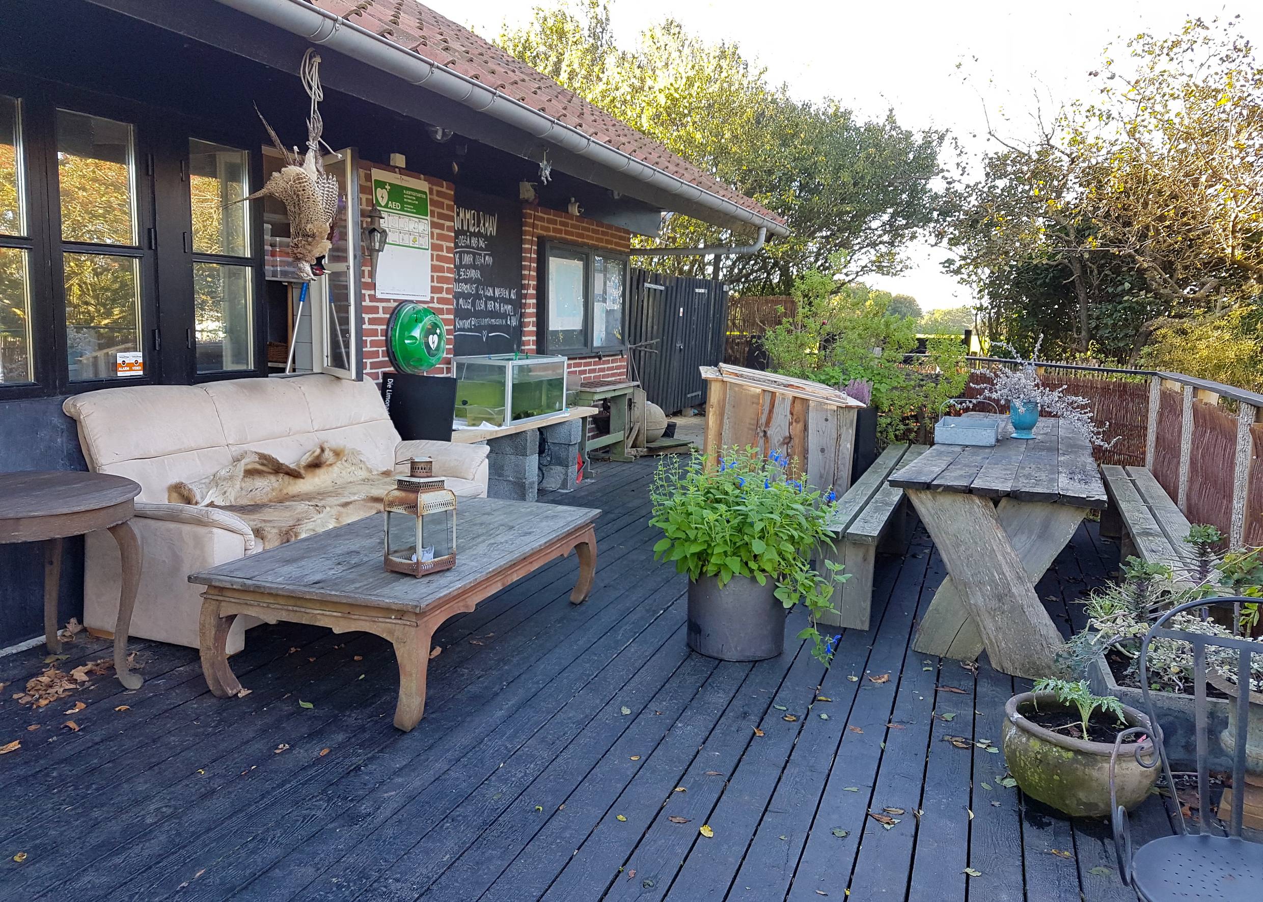 Gastterrasse mit alten Möbeln und vielen Blumentöpfen