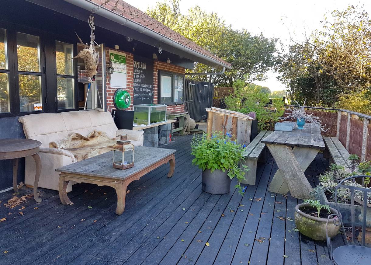 Gastterrasse mit alten Möbeln und vielen Blumentöpfen