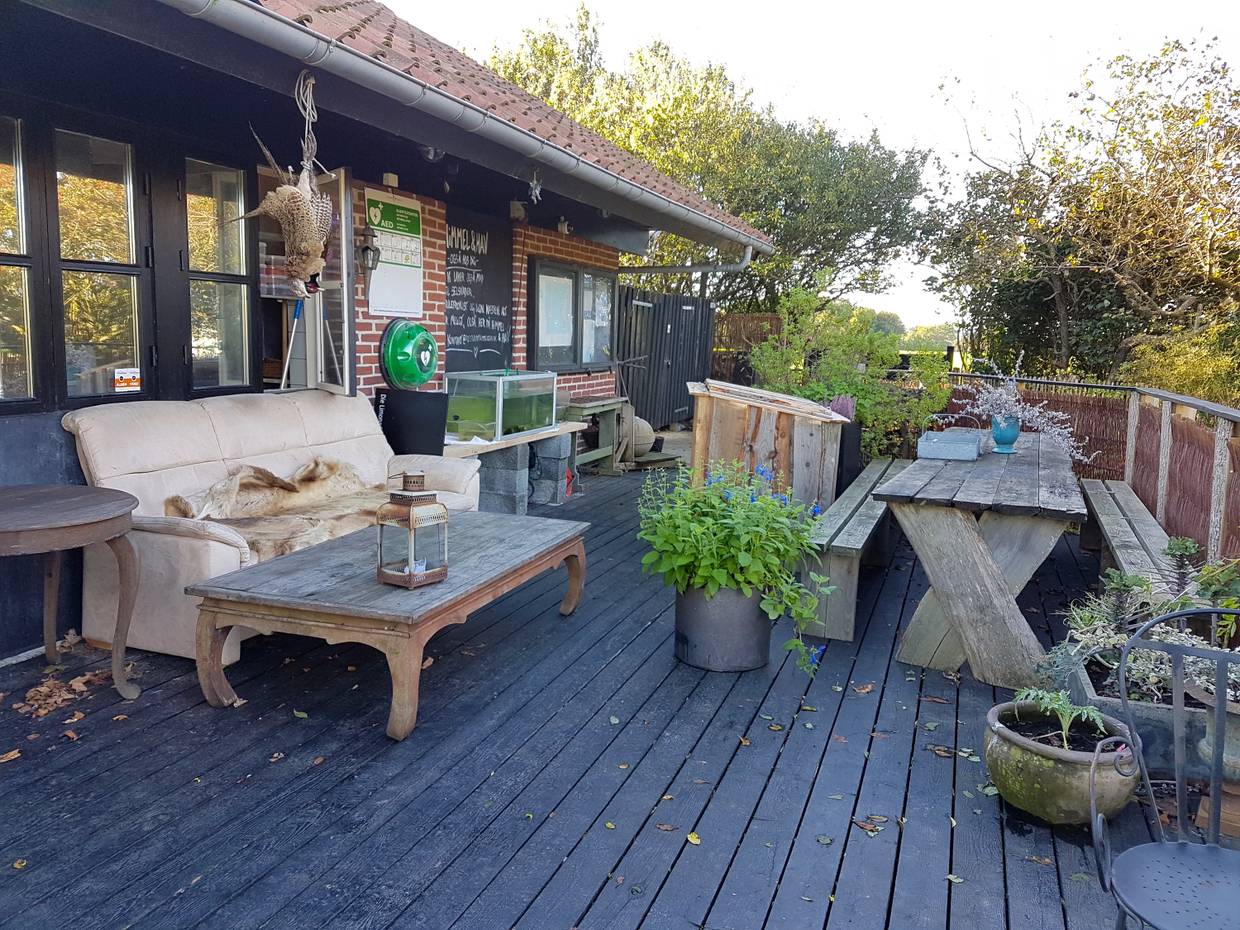 Gastterrasse mit alten Möbeln und vielen Blumentöpfen