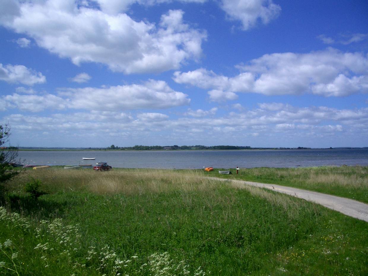 Blick über eine grünen Hang auf den Fjord und eine vorgelagerte Insel