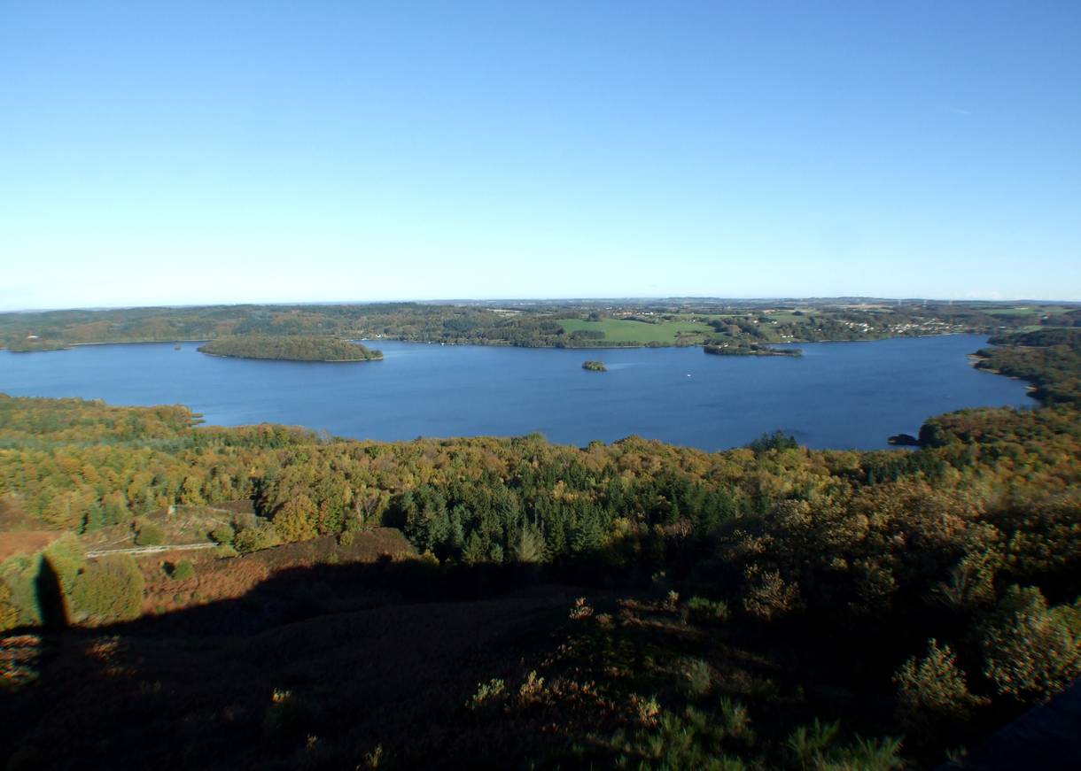 Blick auf eine See im Herbstwald von oben, der Schatten eines Turmslinks im Bild
