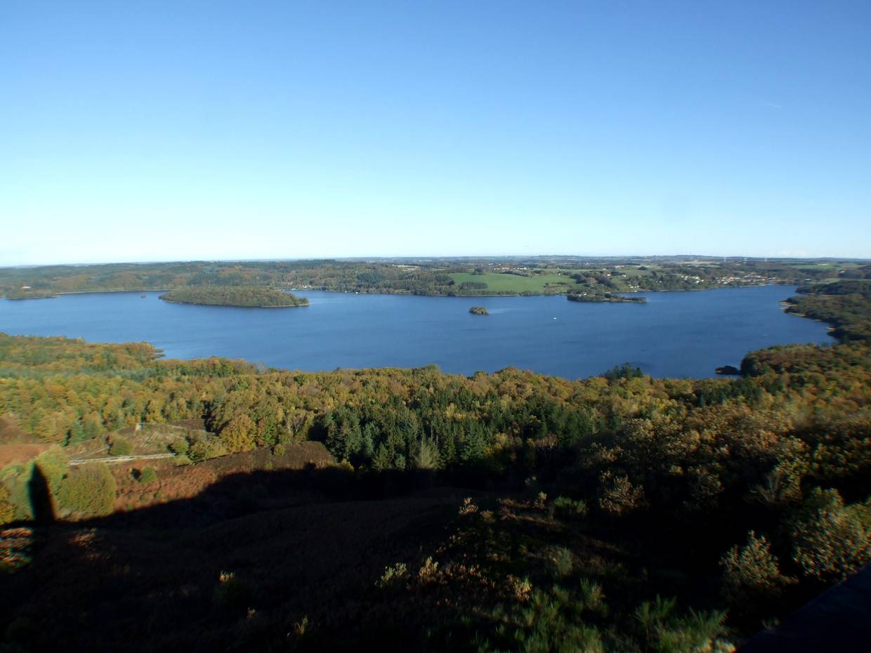 Blick auf eine See im Herbstwald von oben, der Schatten eines Turmslinks im Bild