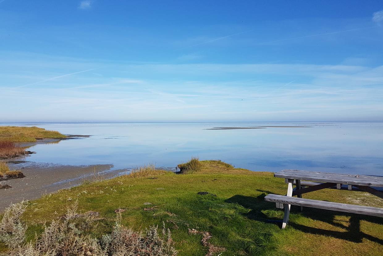 Foto von St. Sjørup Küste
