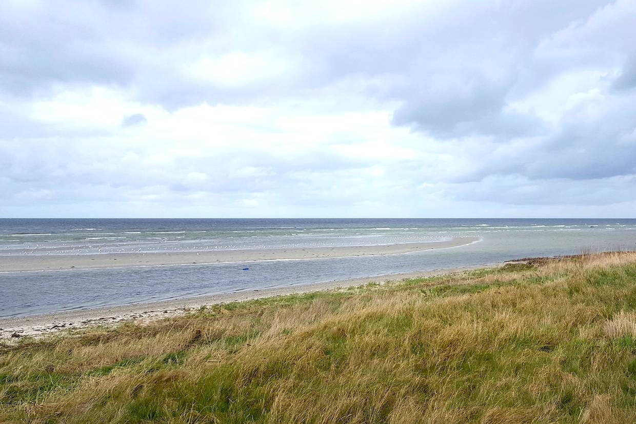 Foto von St. Sjørup Küste