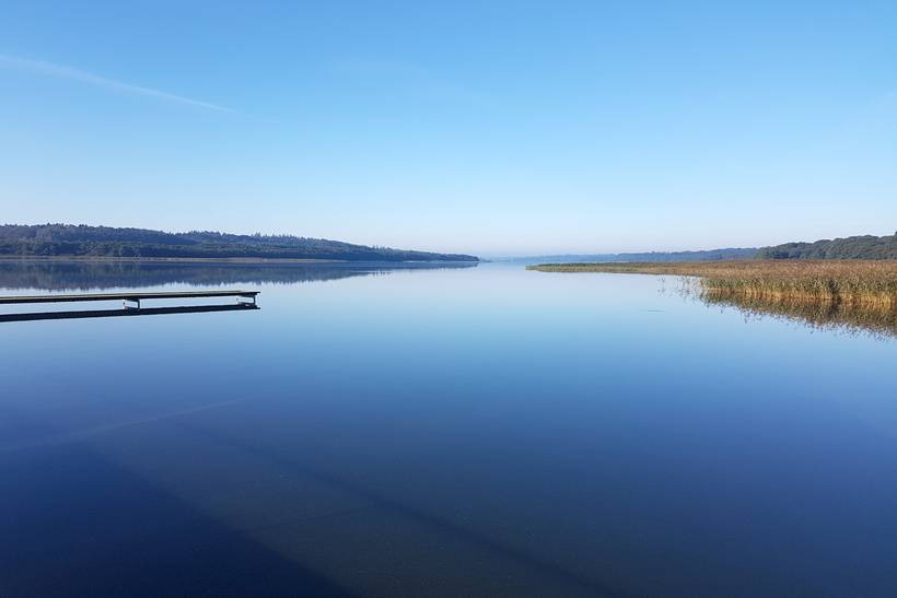 Foto von Tjele Langsø Badeplatz 