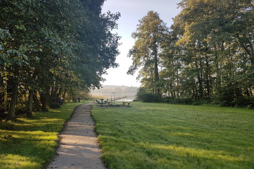 Foto von Tjele Langsø Badeplatz 