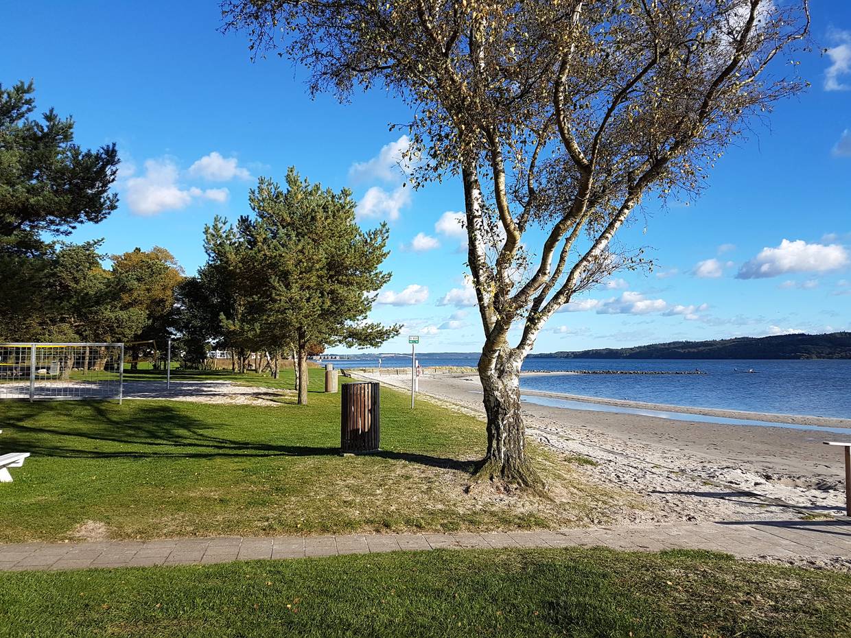 Strand am Fjord mit Volleyballfeld und kleinen Bäumen auf dem Rasen 