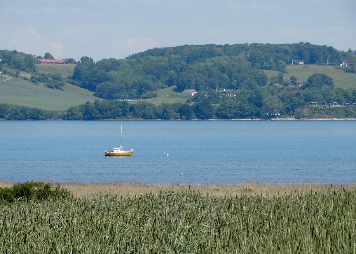 Ein Segelschiff im Vejle Fjord mit dem hügeligen Ufer im Hintergrund