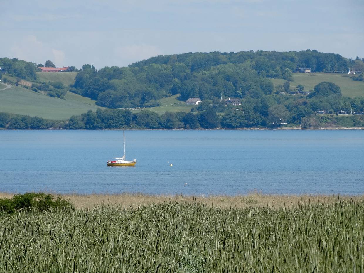Ein Segelschiff im Vejle Fjord mit dem hügeligen Ufer im Hintergrund