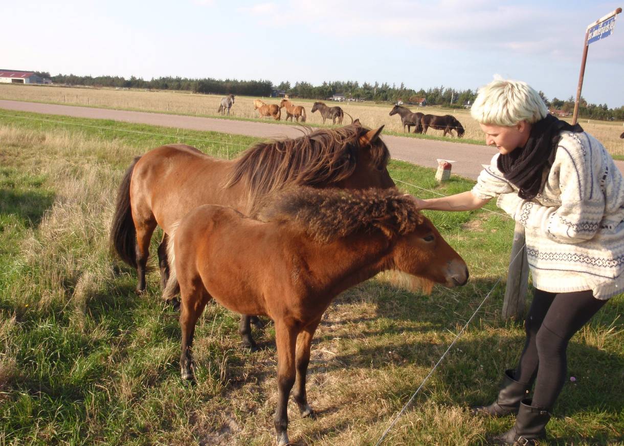 Mädchen streichel Ponys auf der Weide