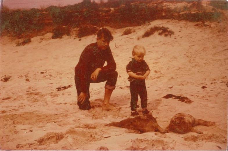 Vater mit kleinem Kind am Strand vor zwei toten Robben