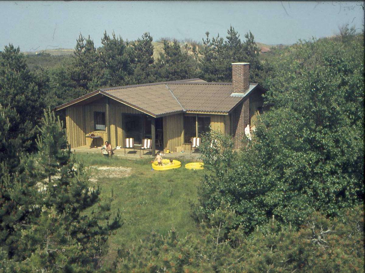 Ferienhaus zwischen Kiefern, ein Mann sitzt auf der Terrasse und liest Zeitung