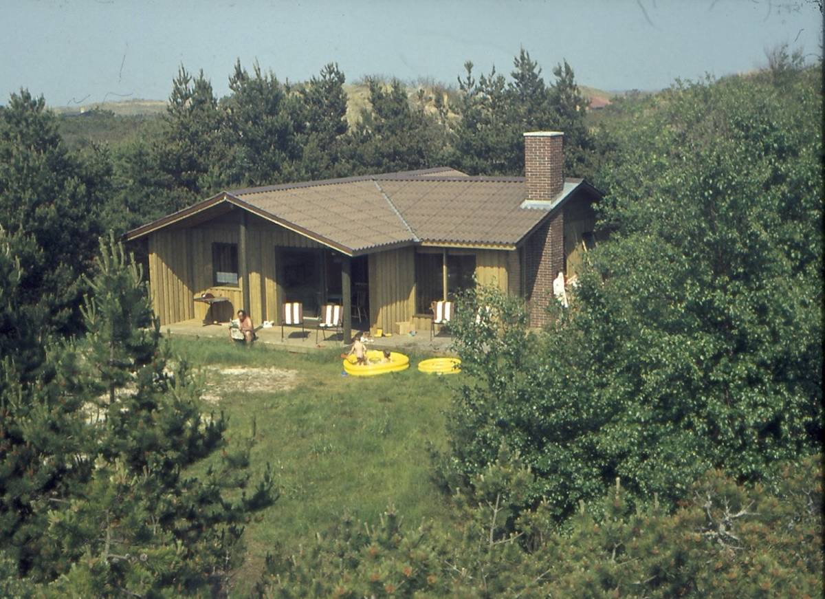 Ferienhaus zwischen Kiefern, ein Mann sitzt auf der Terrasse und liest Zeitung
