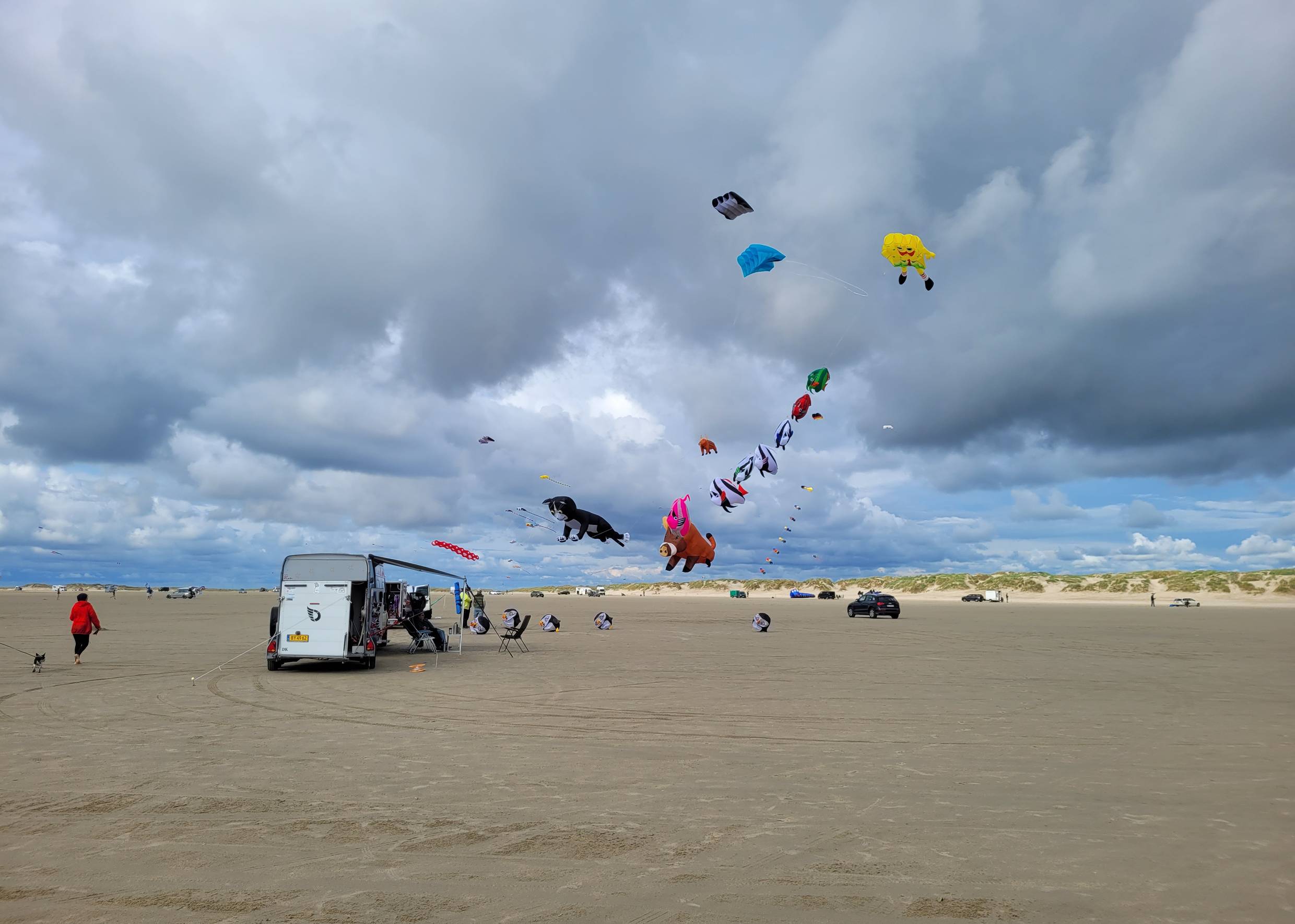 Große, bunte Drachen am Himmel über dem Strand