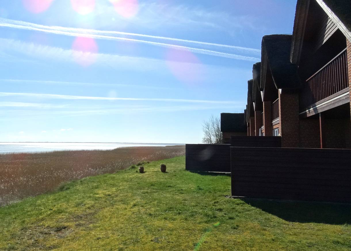 Reihenhäuser mit Reetdach und Ausblick auf das Wattenmeer