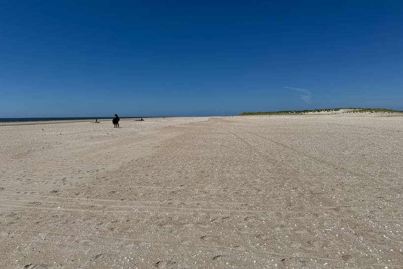 Foto von Rømø Sønderstrand