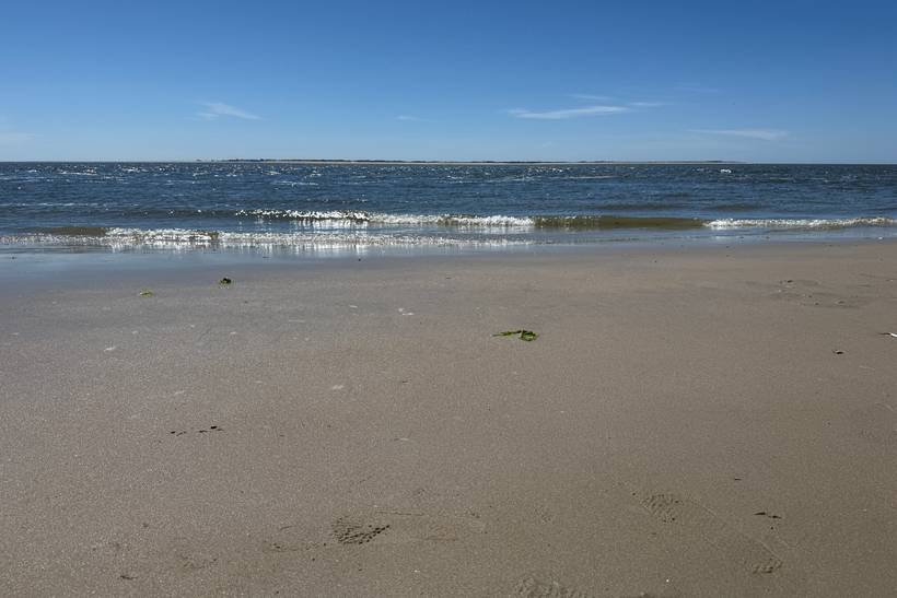 Foto von Rømø Sønderstrand