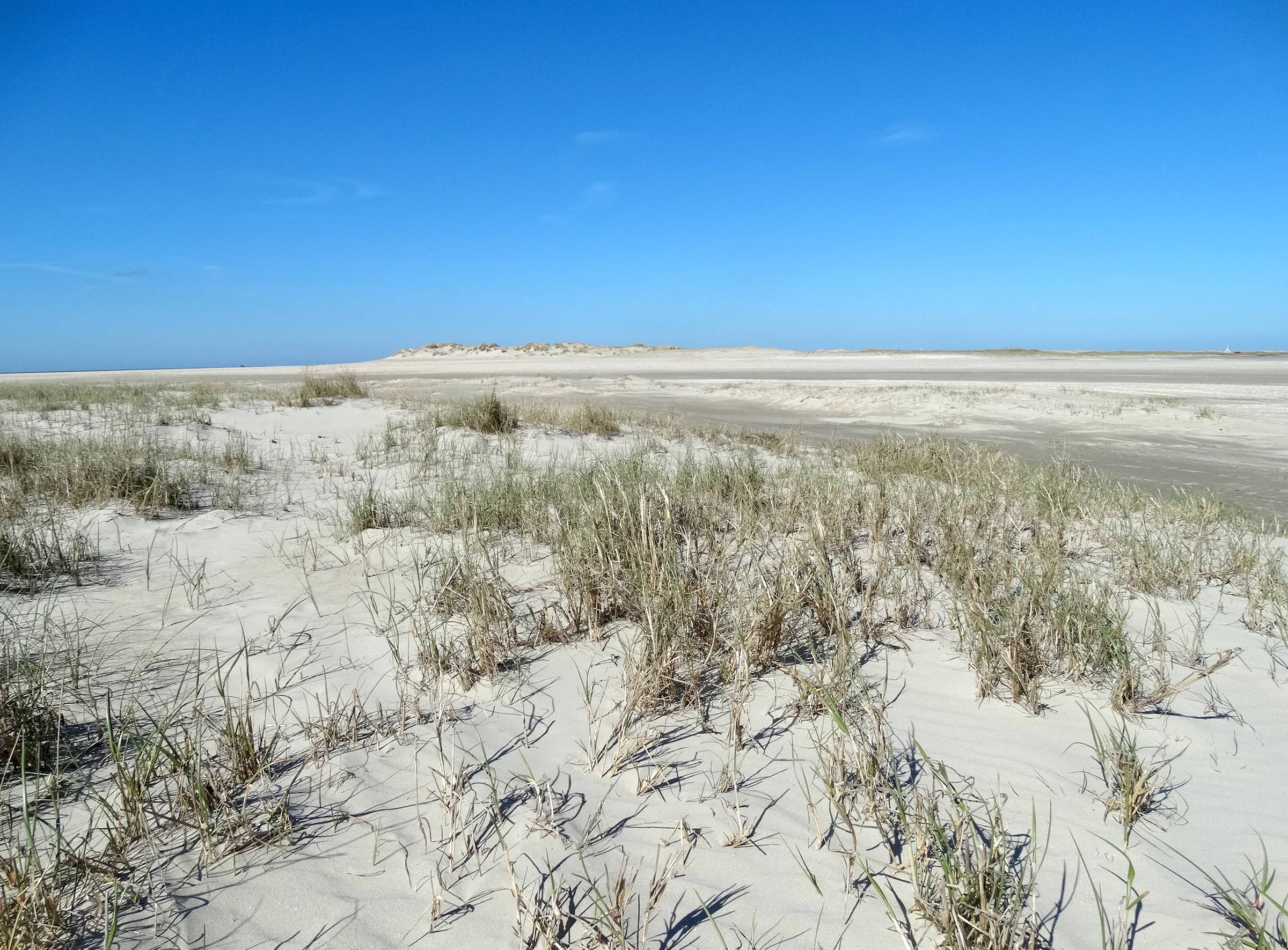 Flache Dünen im Westen von Sønderstrand