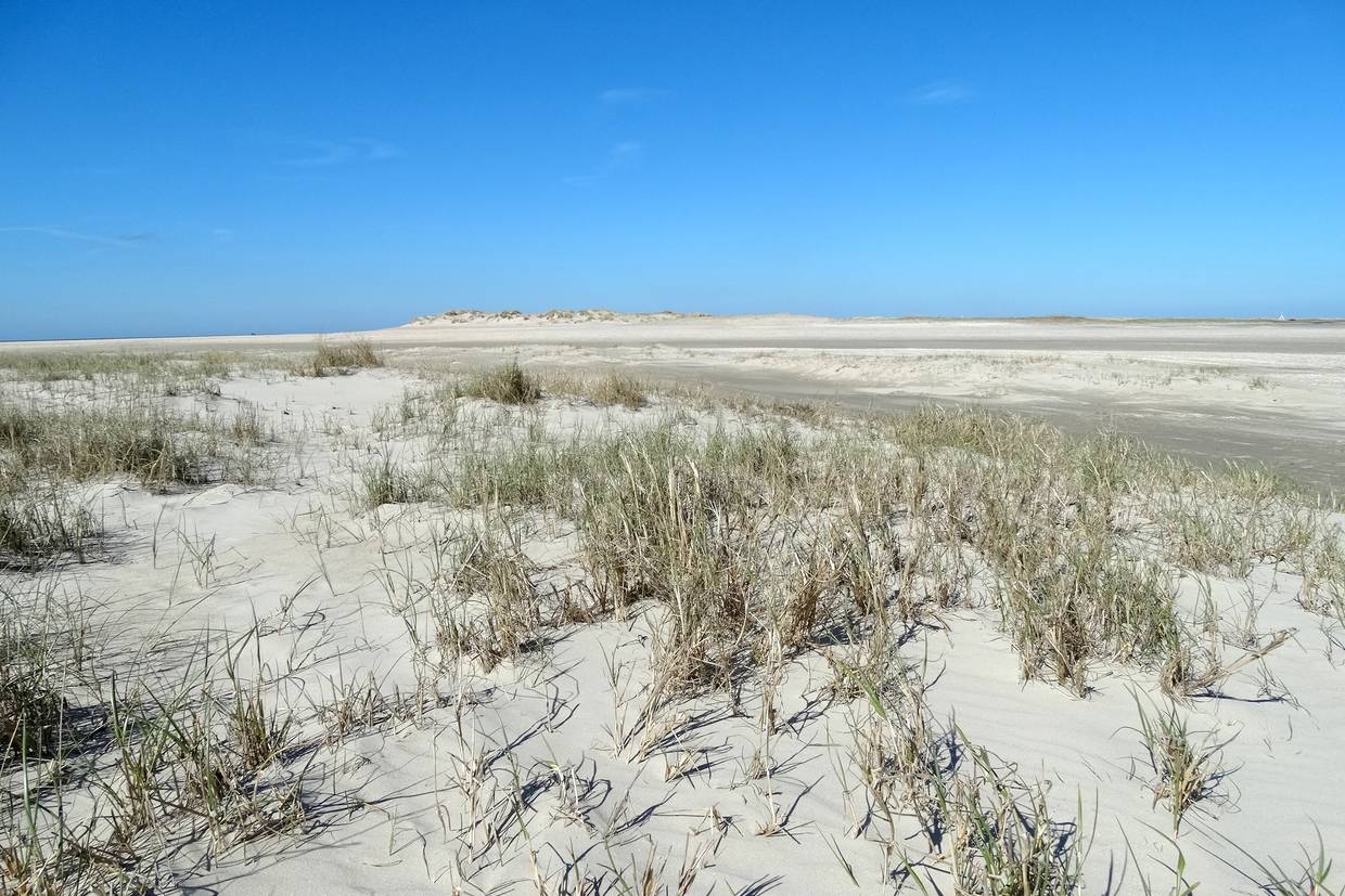 Foto von Rømø Sønderstrand