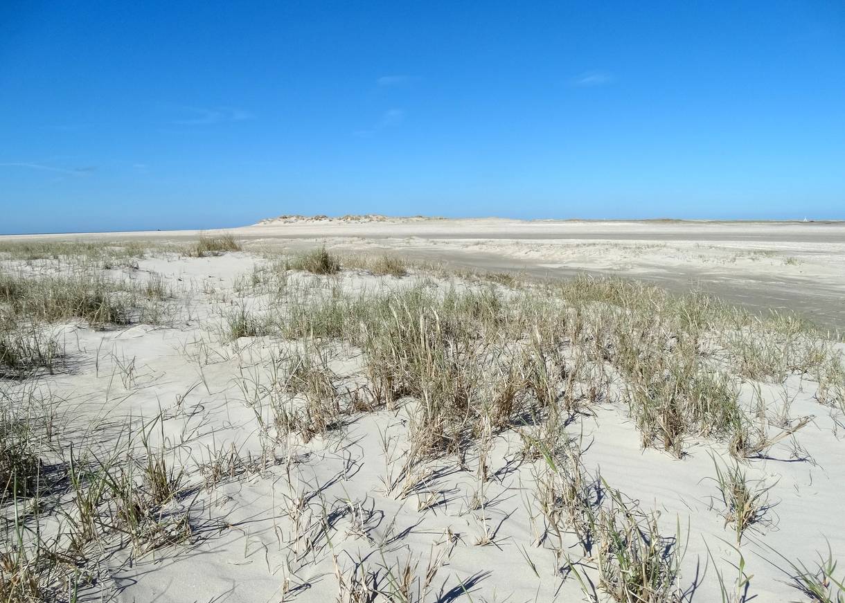 Flache Dünen im Westen von Sønderstrand