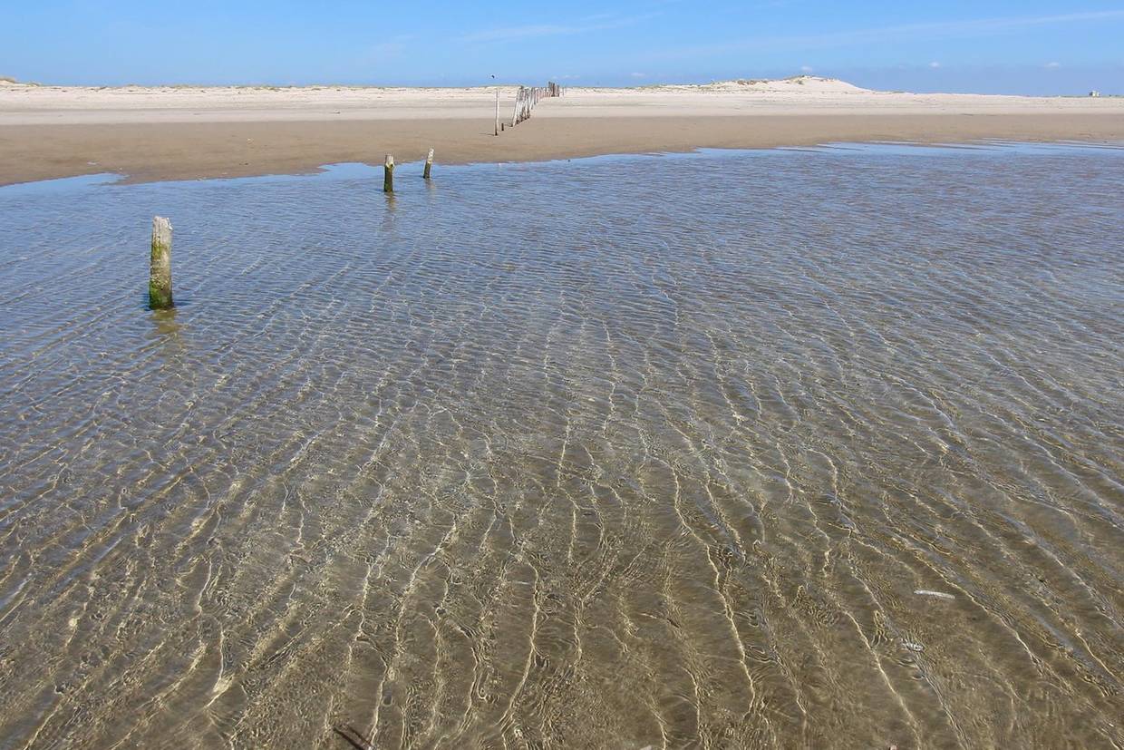 Foto von Rømø Sønderstrand