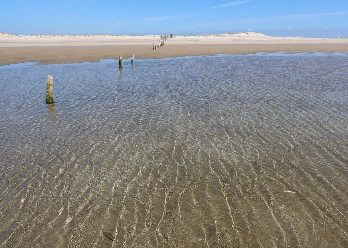 Wasser fließt über einen breiten Strand mit Markierungspfählen
