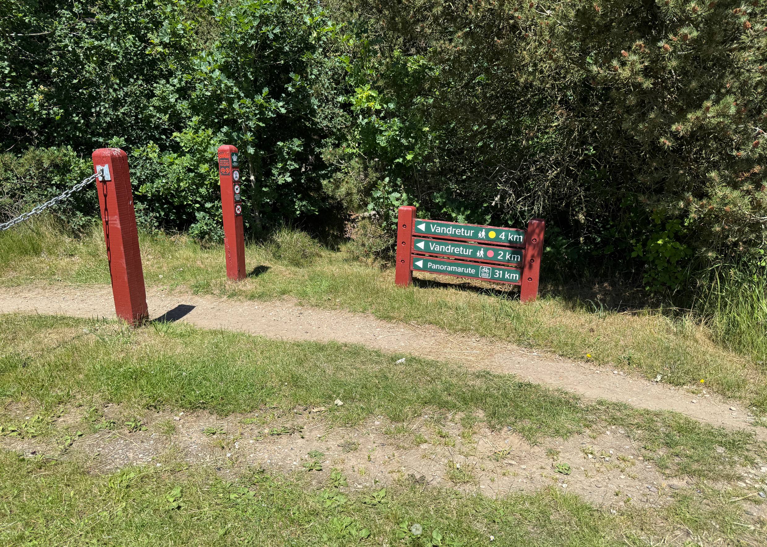 Wegweiser am Waldrand