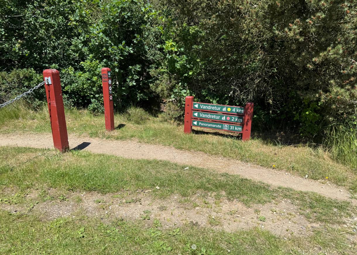 Wegweiser am Waldrand