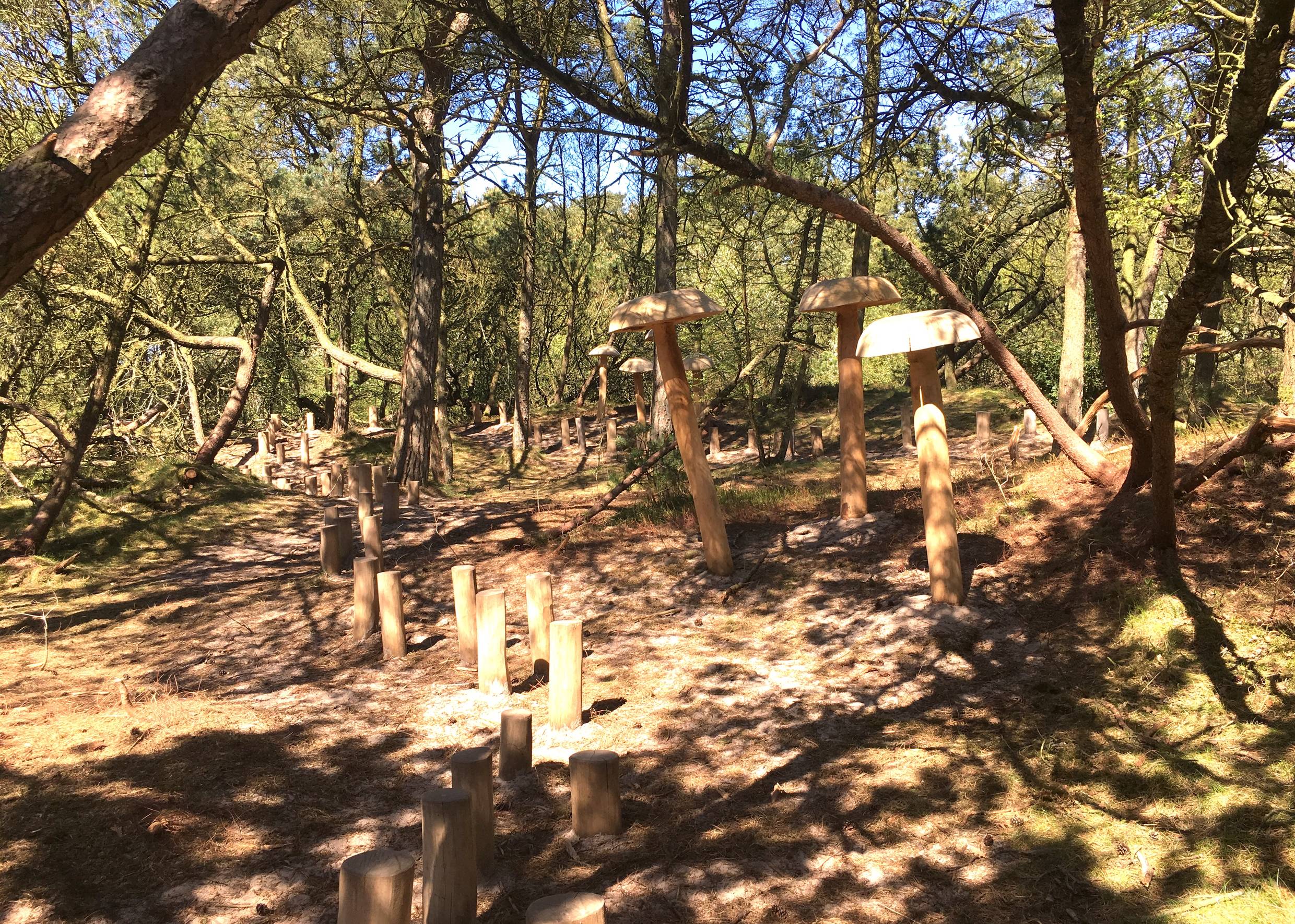 Holzfiguren in einem Kiefernwäldchen