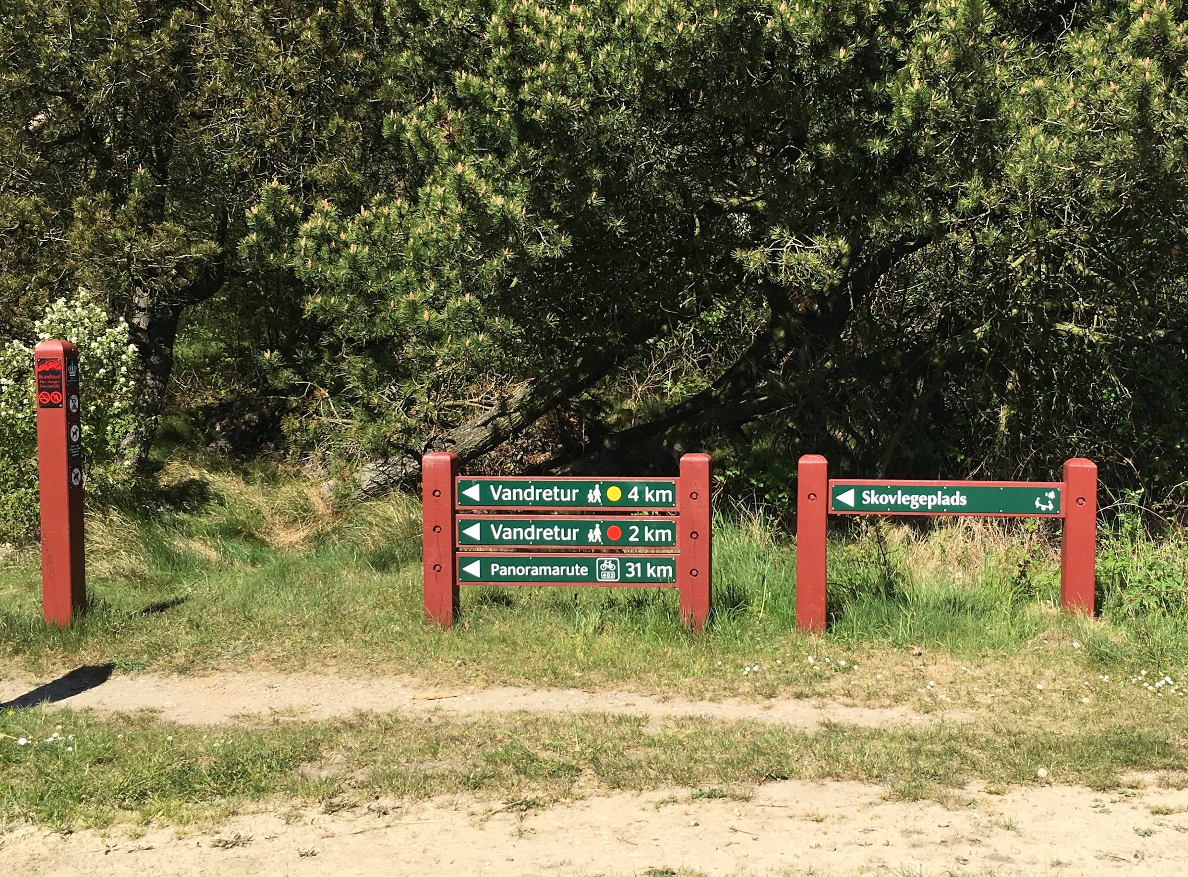 Wegweiser am Waldrand