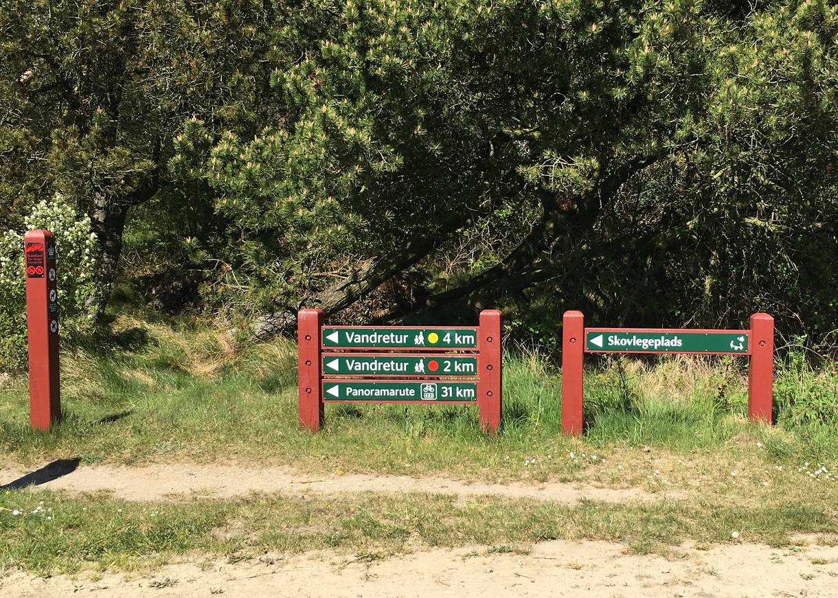 Wegweiser am Waldrand