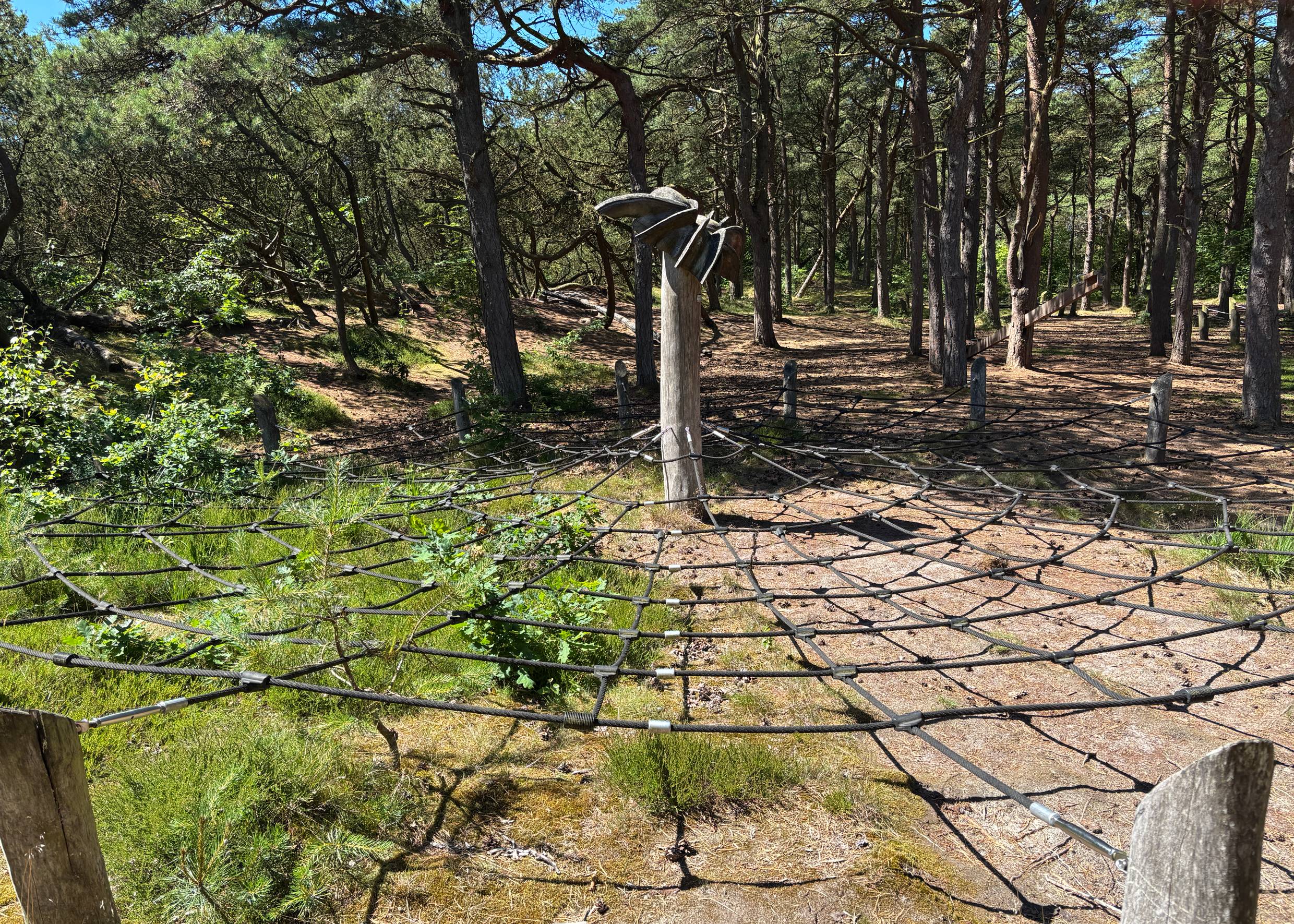 Spinnennetz mit Holzspinne als Klettergerüst mitten im Wald
