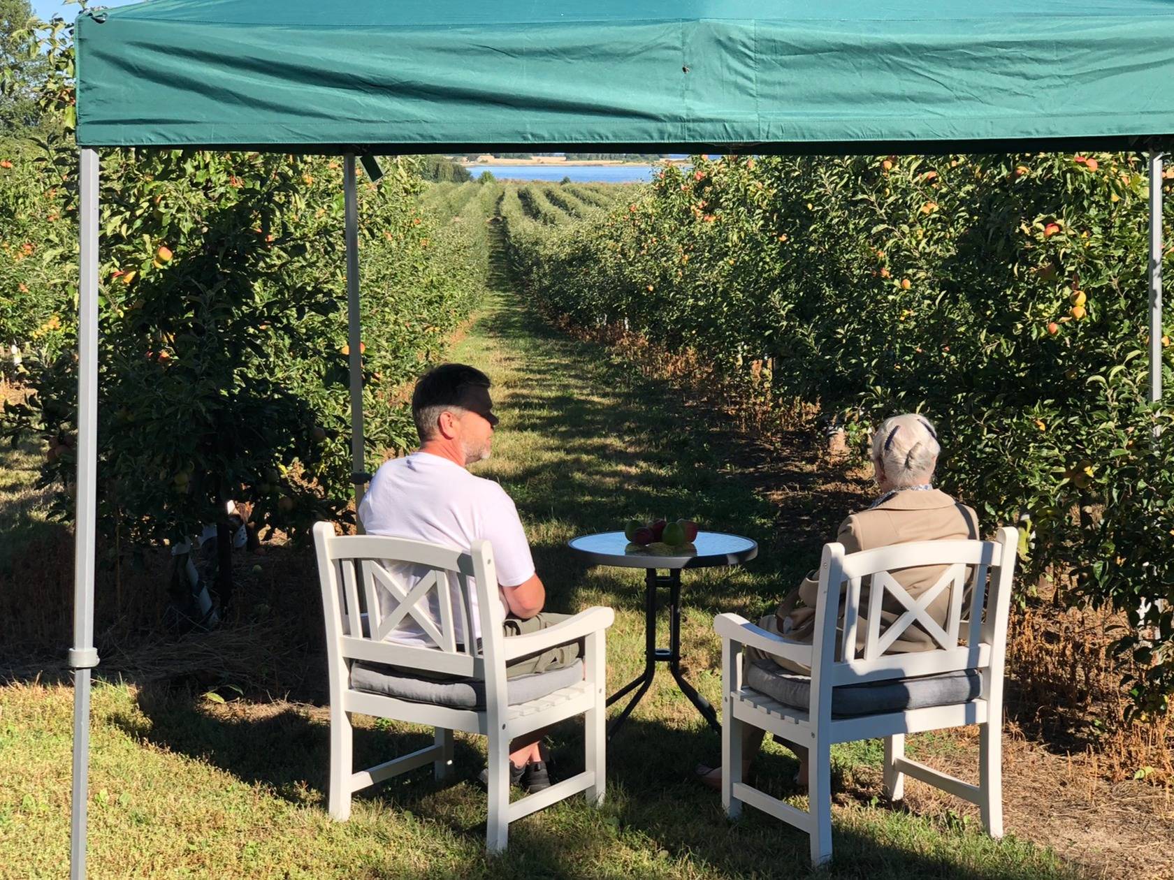 Königin Margrethe genießt den Blick auf das Meer aus der Obstplantage