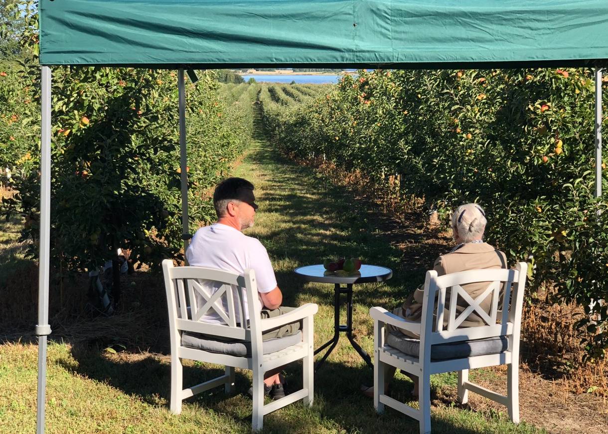 Königin Margrethe genießt den Blick auf das Meer aus der Obstplantage