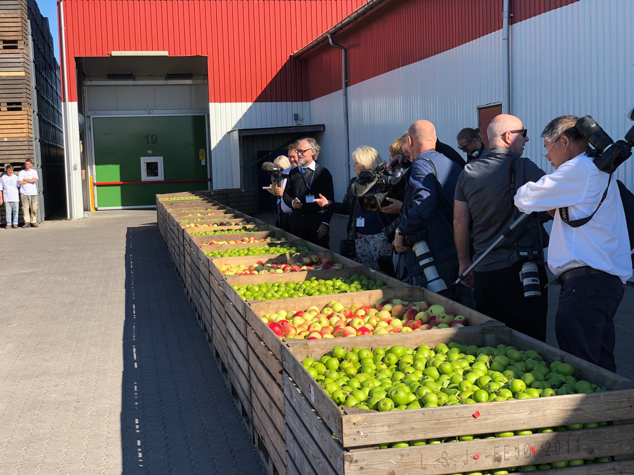 Leute aus der Presse vor Kisten mit Äpfel und Birnen