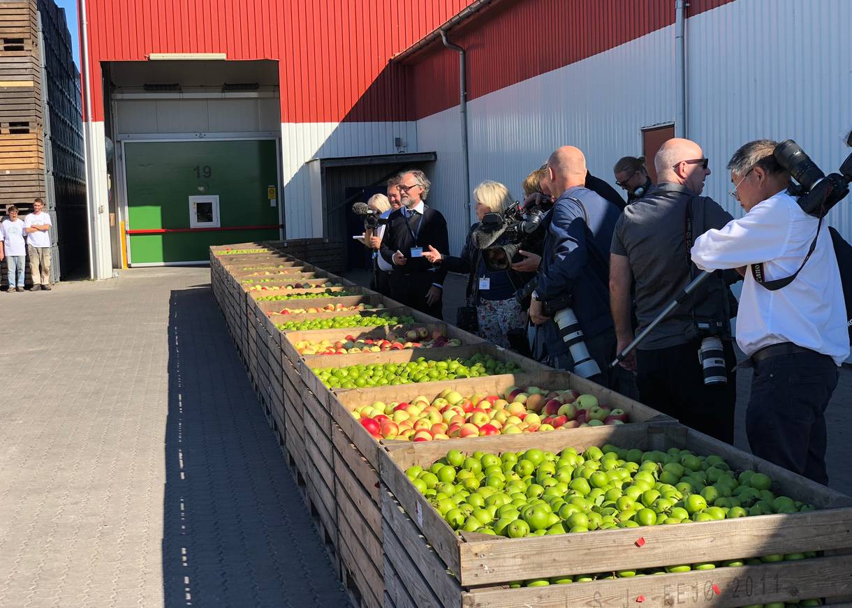 Leute aus der Presse vor Kisten mit Äpfel und Birnen