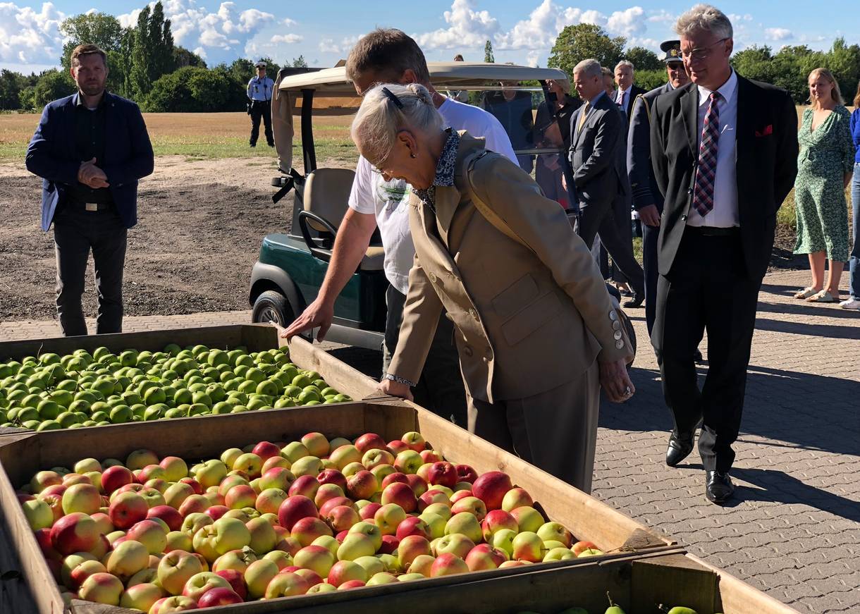 Königin Margrethe schaut auf Kisten mit Äpfel und Birnen