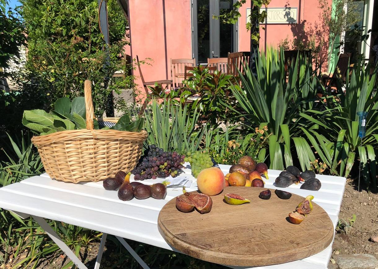 Einen Tisch mit Obst aus dem Garten