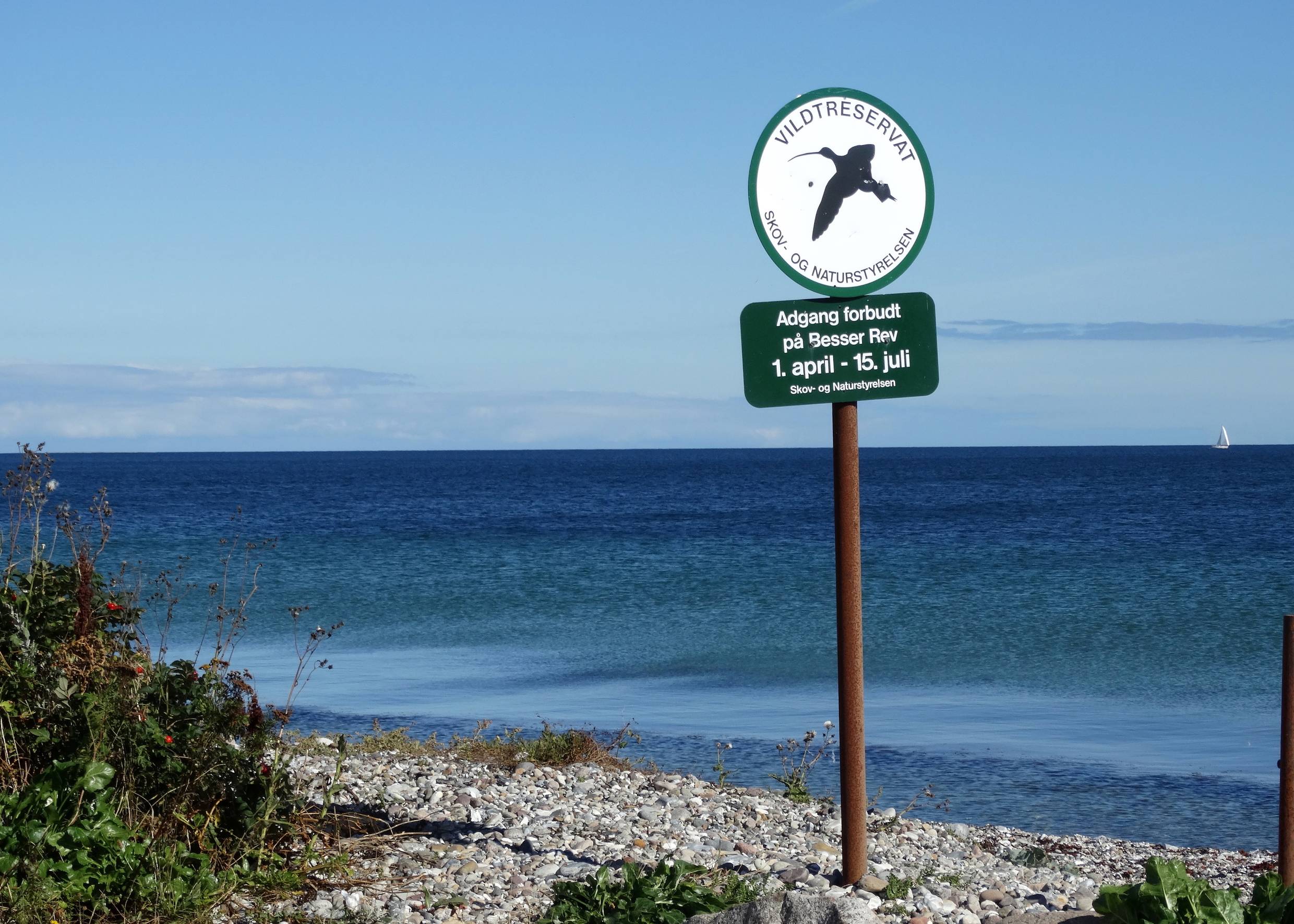 Hinweisschild auf ein Vogelschutzgebiet am Meer