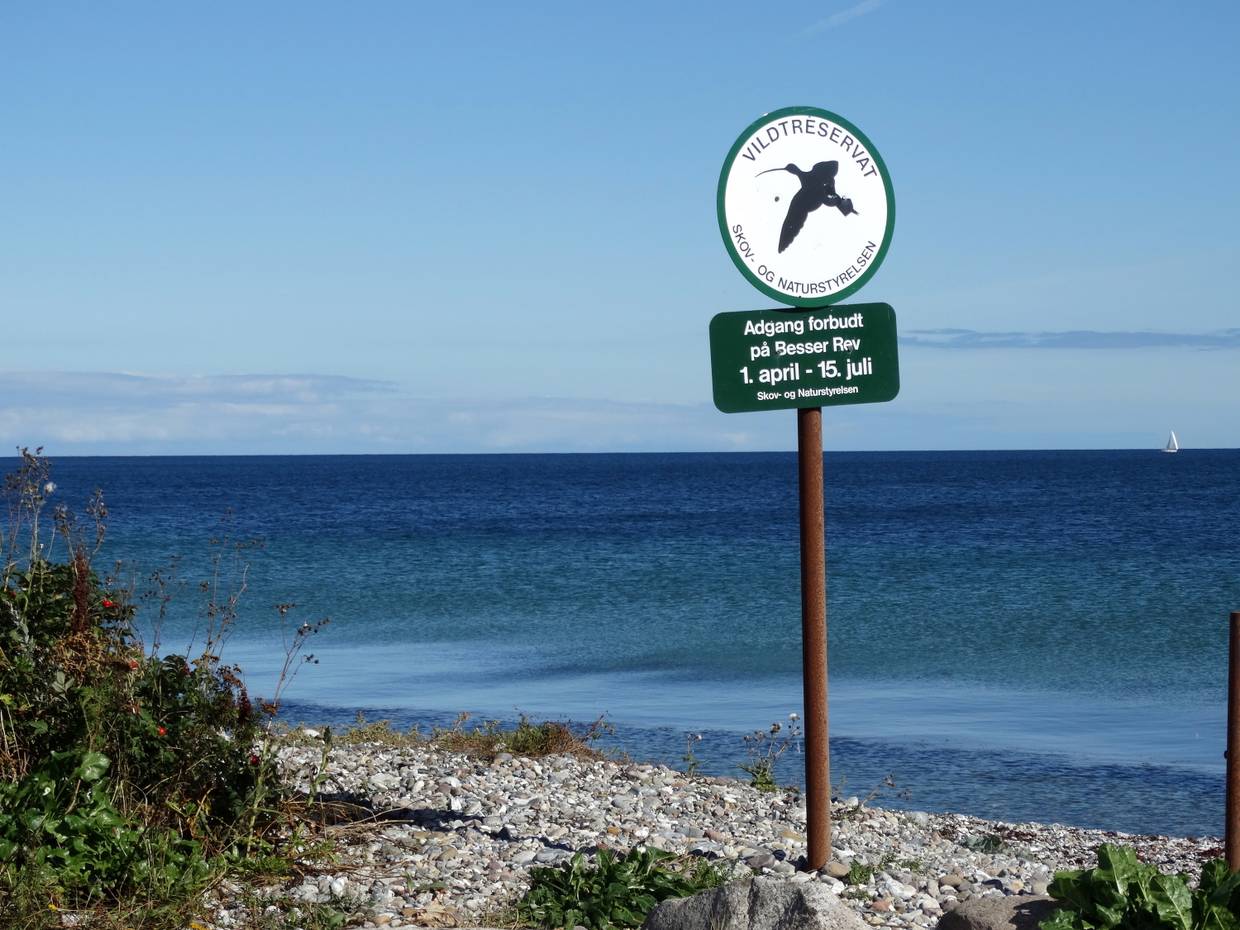 Hinweisschild auf ein Vogelschutzgebiet am Meer