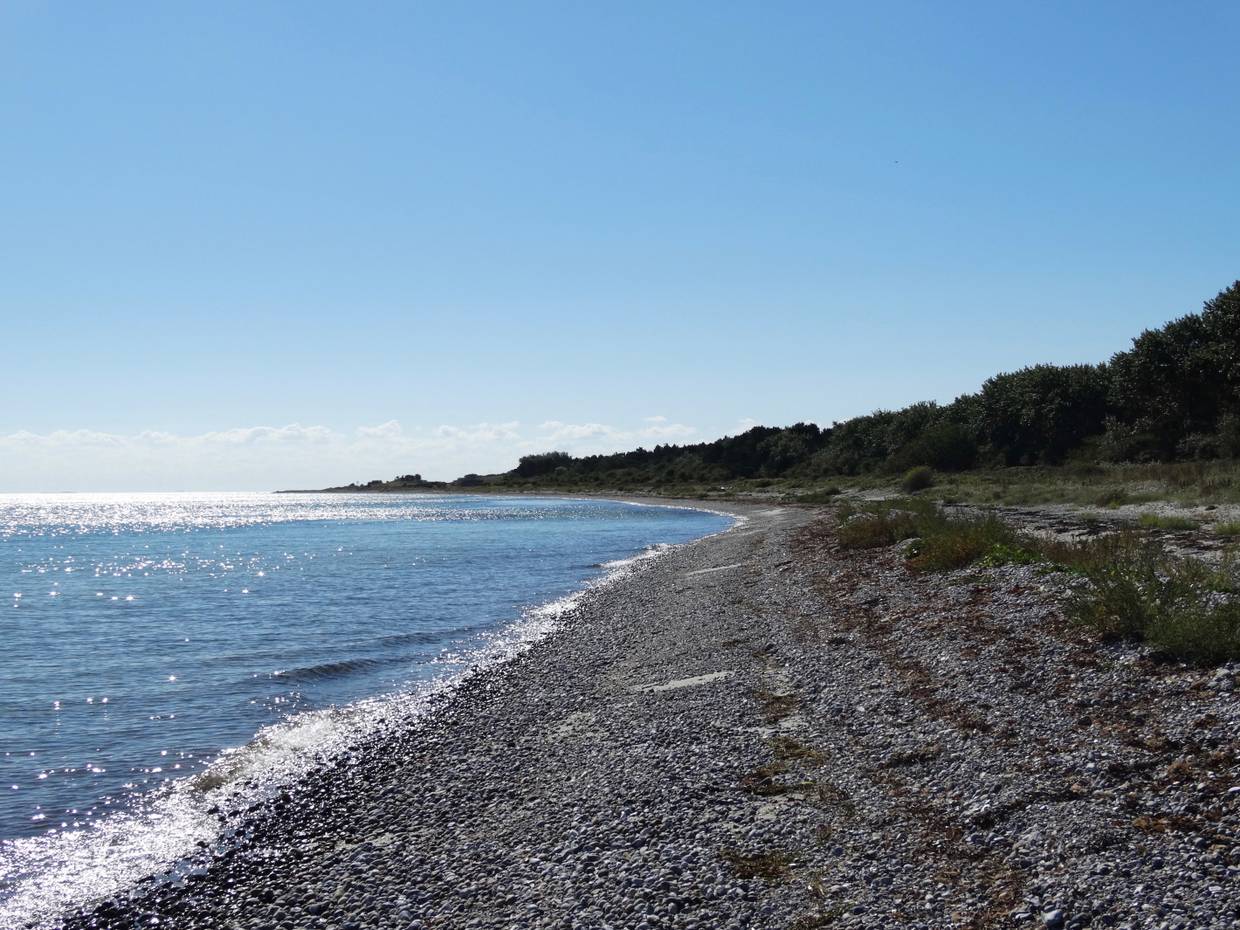 Steiniger Strand vor einem Wald