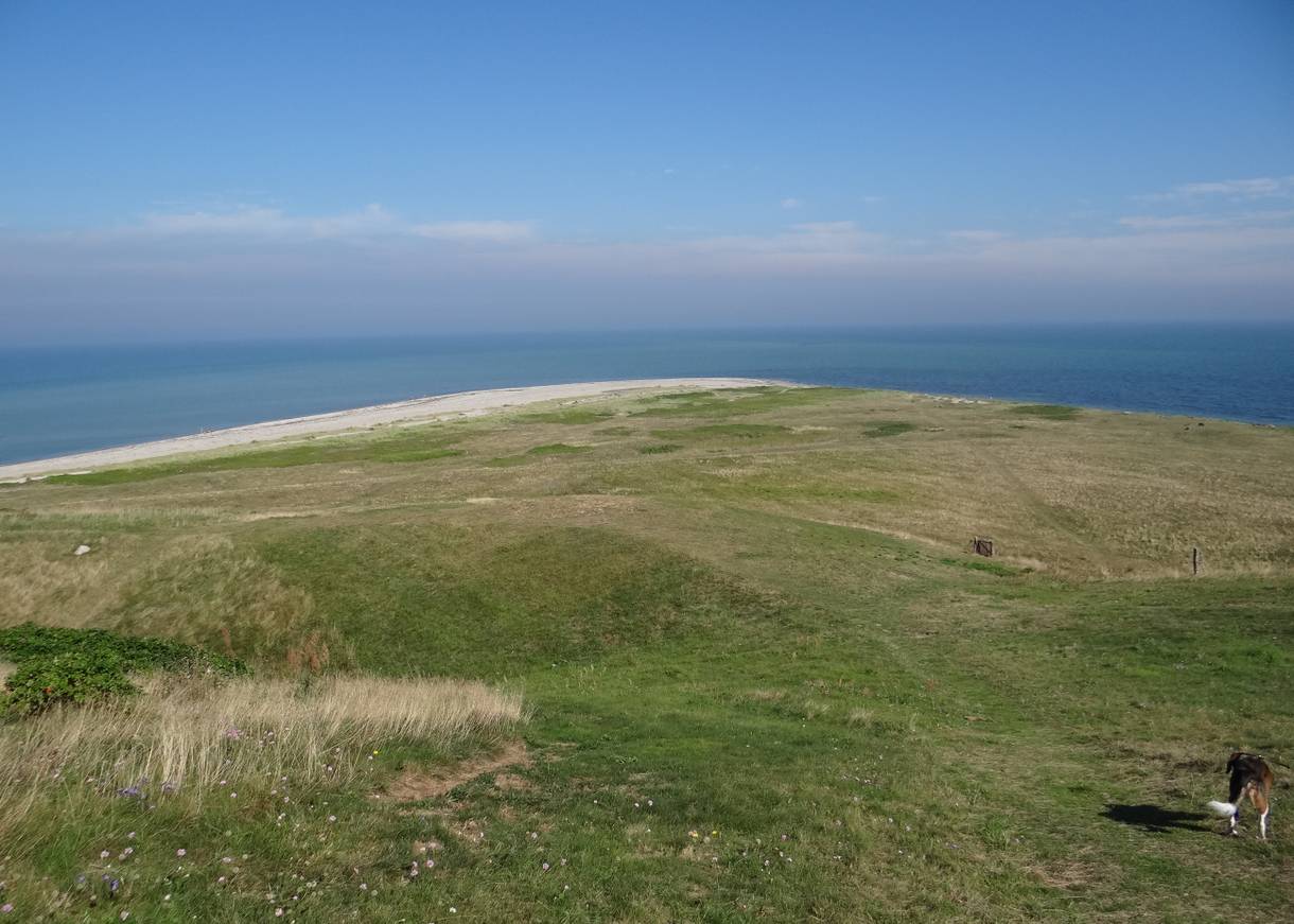 Aussicht von einer Wiese hinab zum Sandstrand