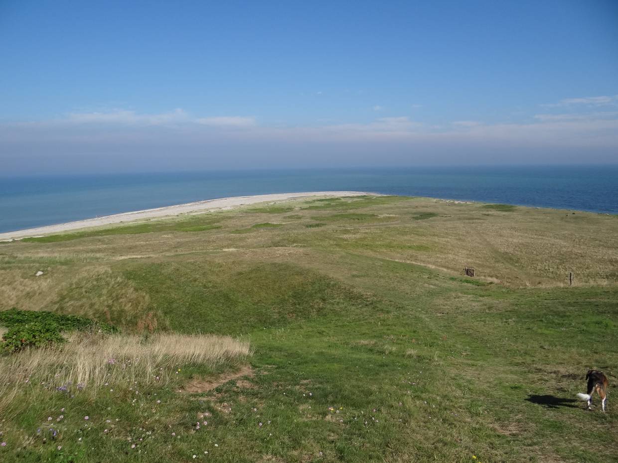 Aussicht von einer Wiese hinab zum Sandstrand