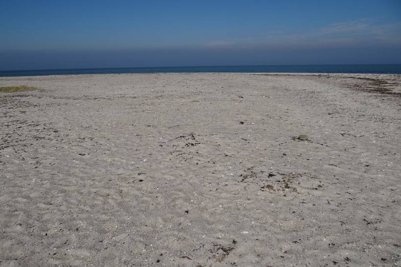Foto von Issehoved Strand